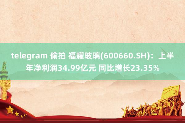   telegram 偷拍 福耀玻璃(600660.SH)：上半年净利润34.99亿元 同比增长23.35%