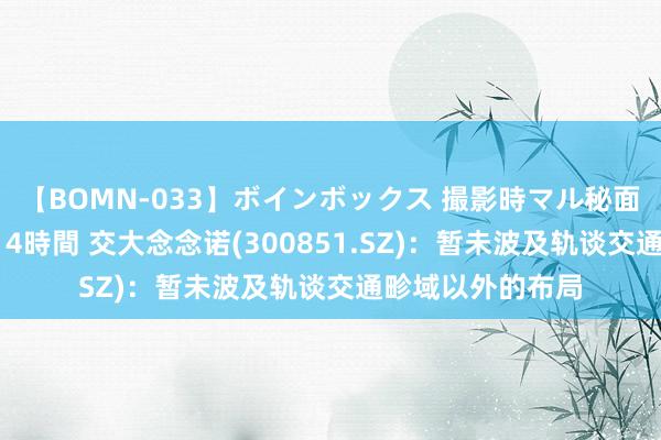   【BOMN-033】ボインボックス 撮影時マル秘面接ドキュメント 4時間 交大念念诺(300851.SZ)：暂未波及轨谈交通畛域以外的布局