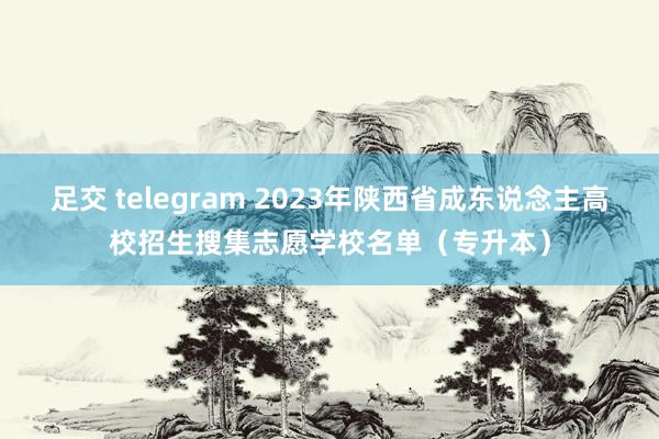 足交 telegram 2023年陕西省成东说念主高校招生搜集志愿学校名单（专升本）