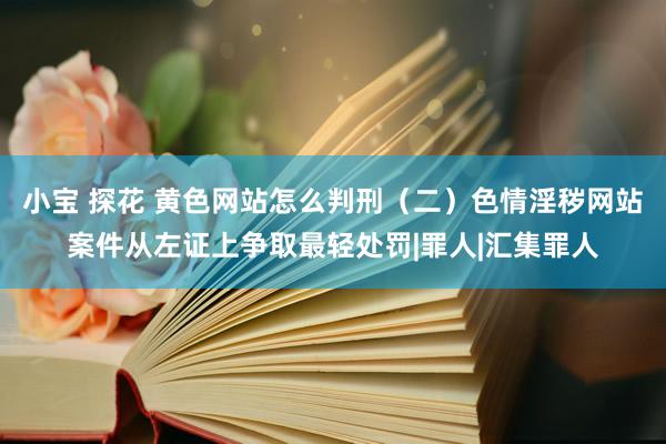 小宝 探花 黄色网站怎么判刑（二）色情淫秽网站案件从左证上争取最轻处罚|罪人|汇集罪人