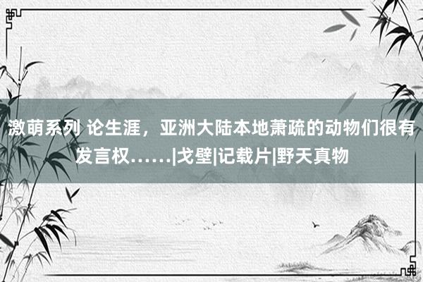 激萌系列 论生涯，亚洲大陆本地萧疏的动物们很有发言权……|戈壁|记载片|野天真物